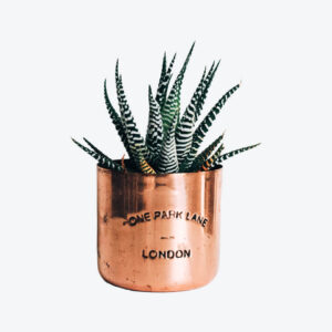 Office Setups office furniture store product img 25